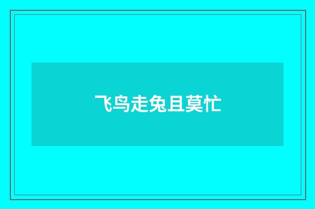 飞鸟走兔且莫忙
