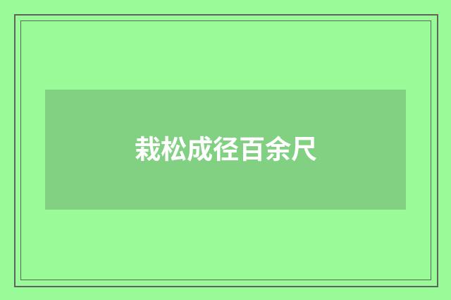 栽松成径百余尺