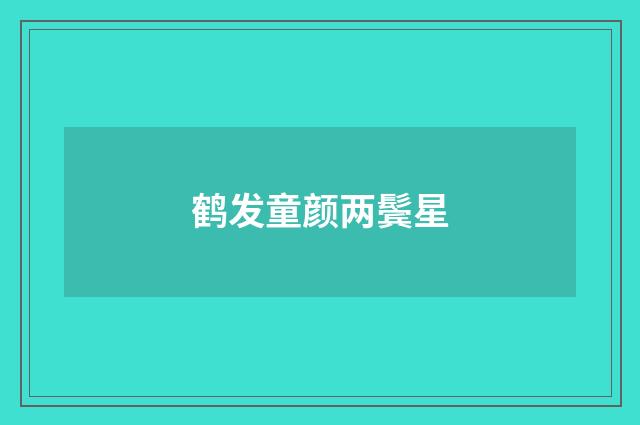 鹤发童颜两鬓星