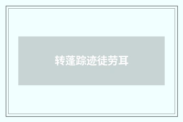 转蓬踪迹徒劳耳