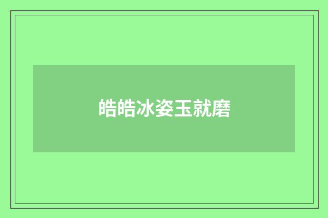 皓皓冰姿玉就磨