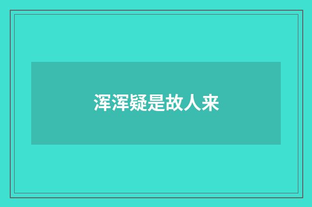浑浑疑是故人来