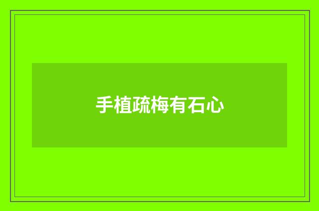手植疏梅有石心