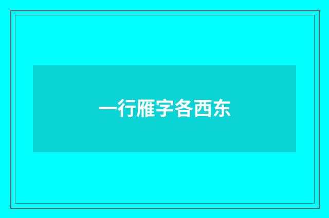 一行雁字各西东