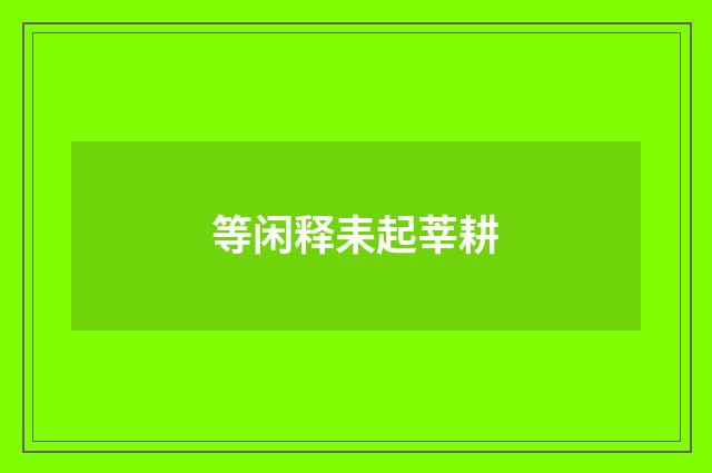 等闲释耒起莘耕