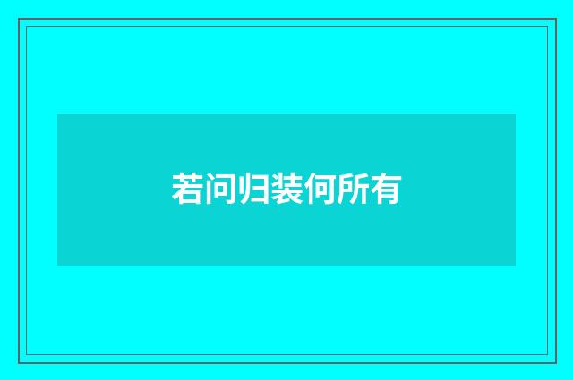 若问归装何所有