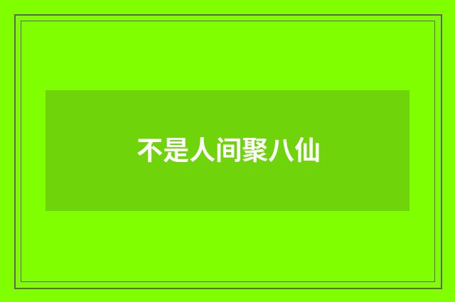 不是人间聚八仙
