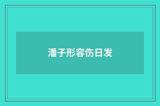 潘子形容伤日发