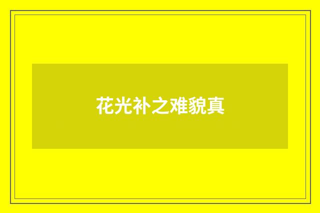 花光补之难貌真