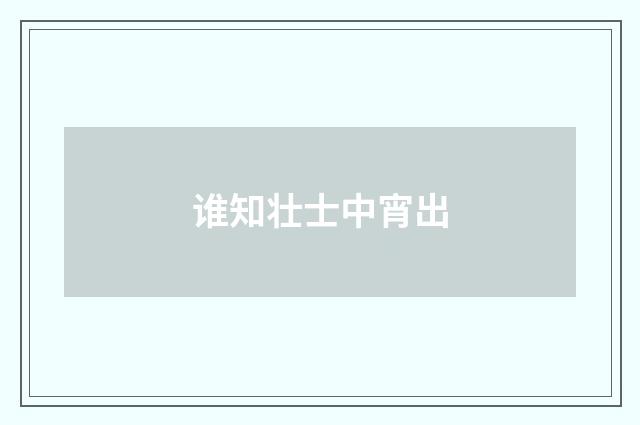 谁知壮士中宵出