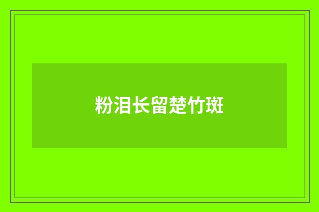 粉泪长留楚竹斑