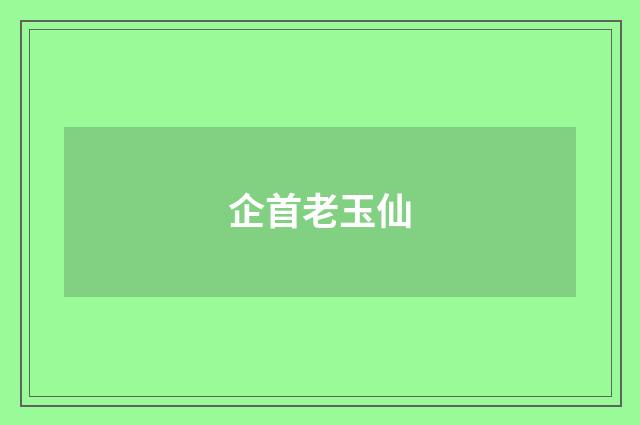 企首老玉仙