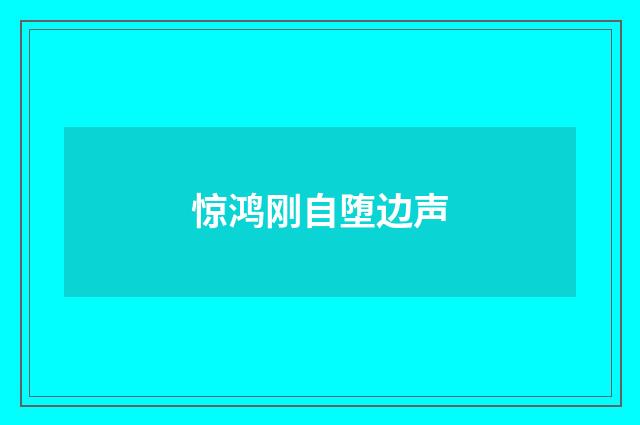 惊鸿刚自堕边声