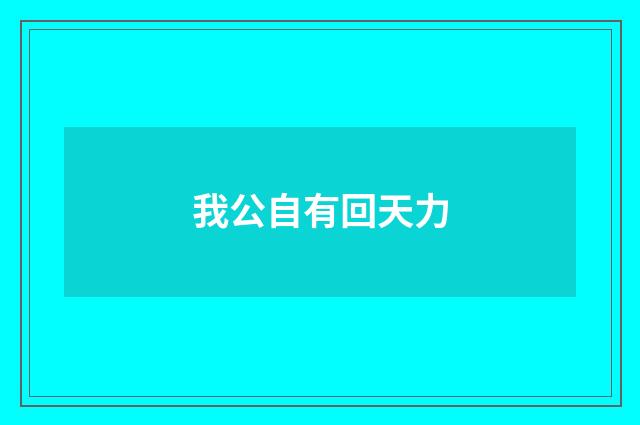 我公自有回天力