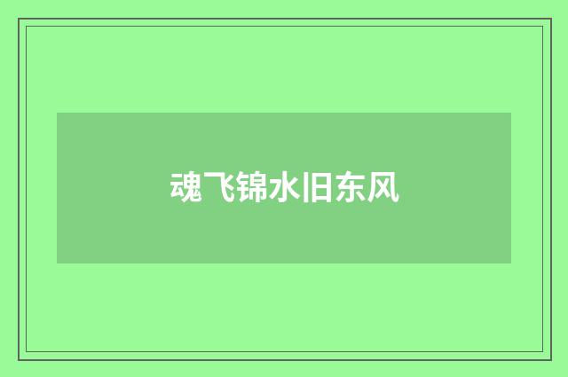 魂飞锦水旧东风