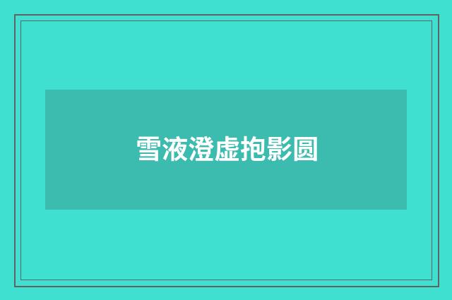雪液澄虚抱影圆