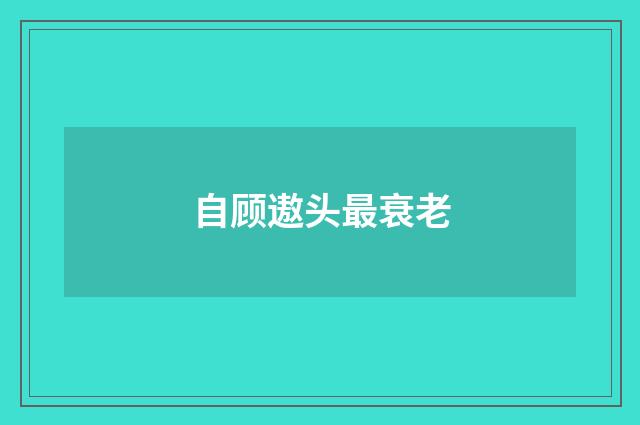 自顾遨头最衰老