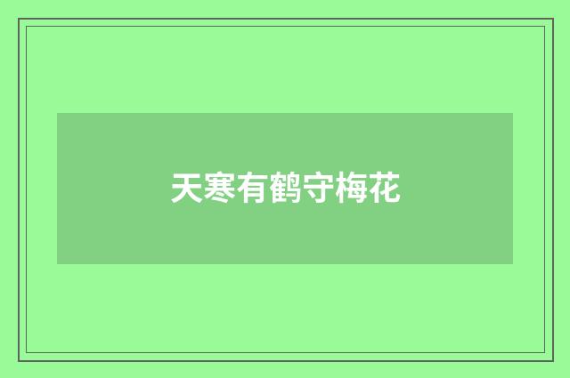天寒有鹤守梅花