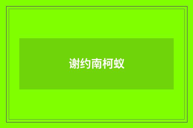 谢约南柯蚁