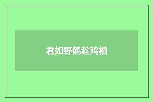君如野鹤趁鸡栖