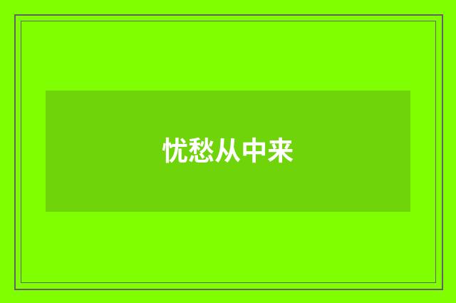忧愁从中来