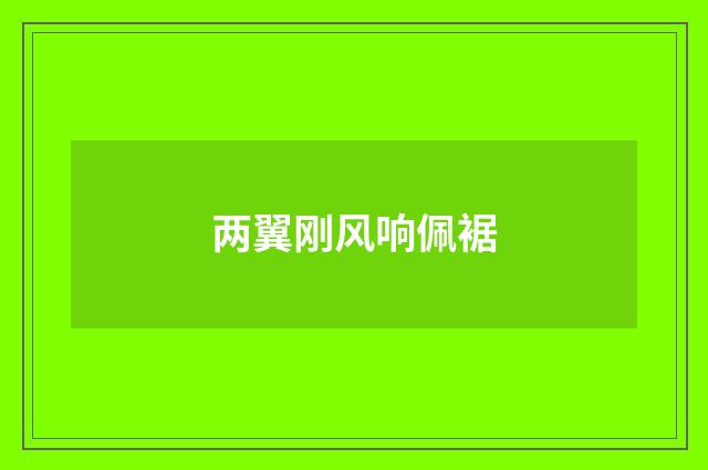 两翼刚风响佩裾