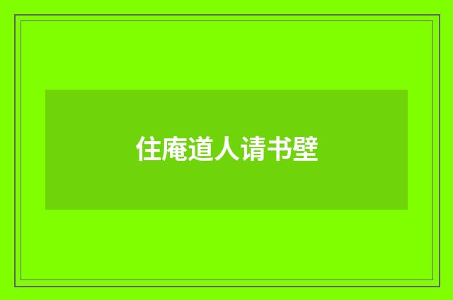 住庵道人请书壁