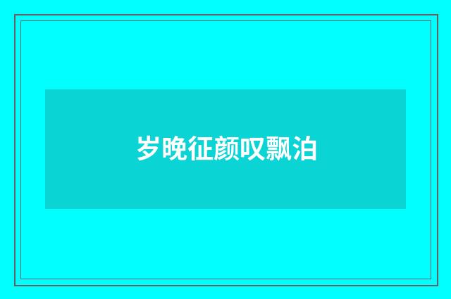 岁晚征颜叹飘泊