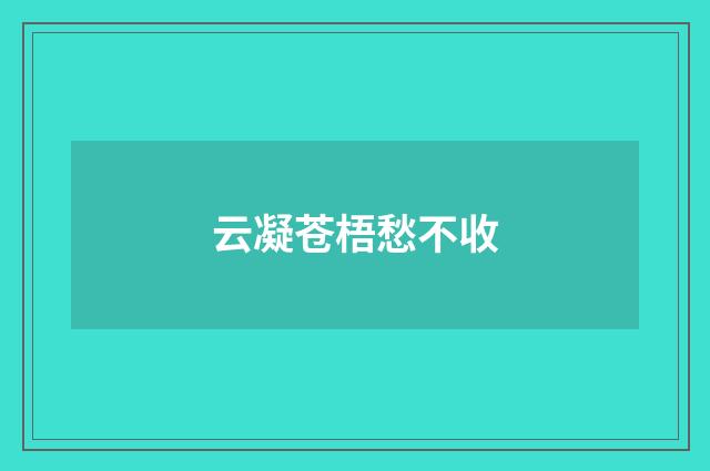 云凝苍梧愁不收
