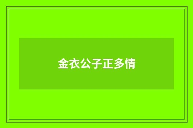 金衣公子正多情