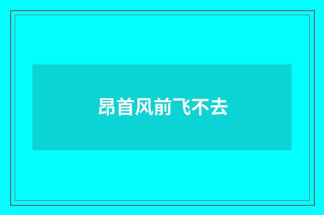昂首风前飞不去