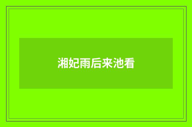 湘妃雨后来池看