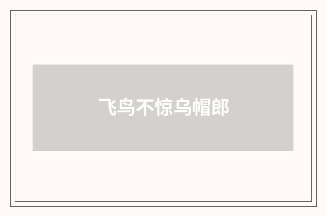 飞鸟不惊乌帽郎