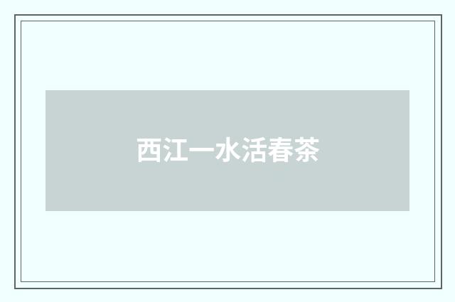 西江一水活春茶