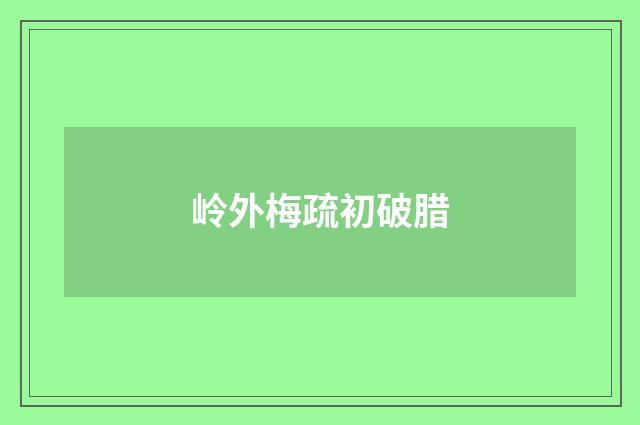 岭外梅疏初破腊