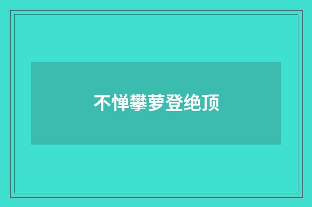 不惮攀萝登绝顶