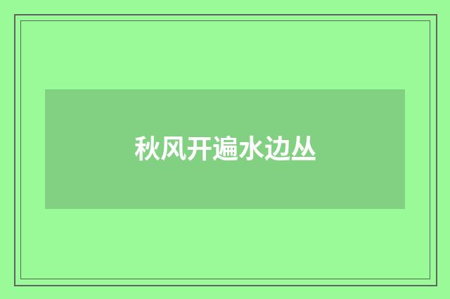 秋风开遍水边丛