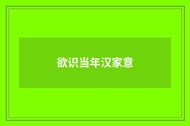 欲识当年汉家意