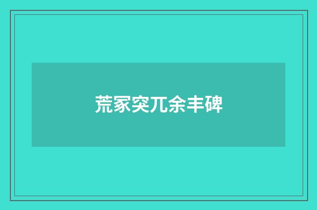 荒冢突兀余丰碑
