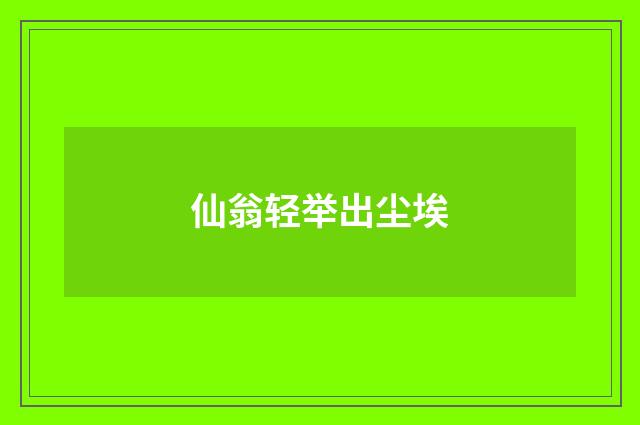 仙翁轻举出尘埃
