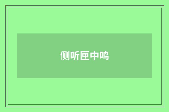 侧听匣中鸣