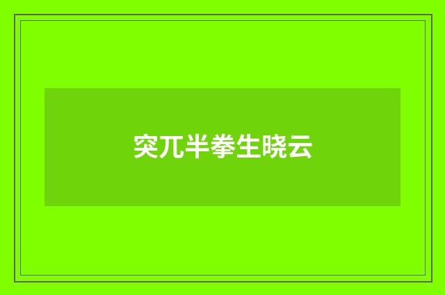 突兀半拳生晓云