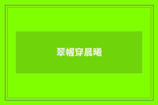 翠幄穿晨曦
