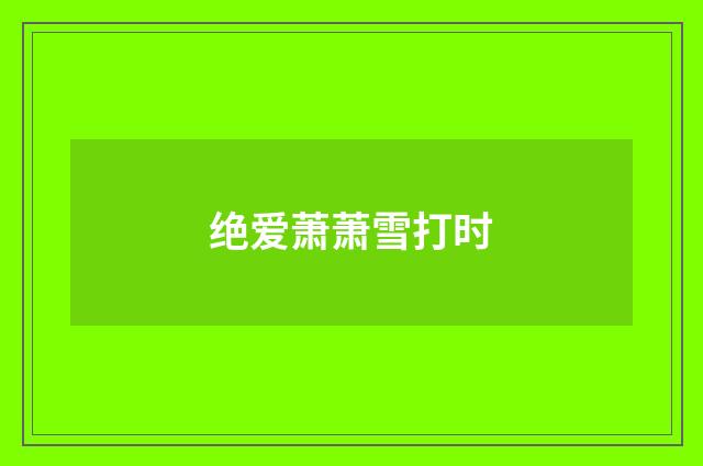 绝爱萧萧雪打时