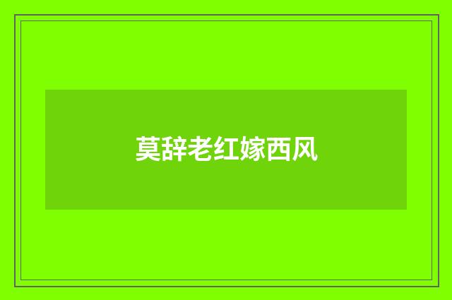 莫辞老红嫁西风