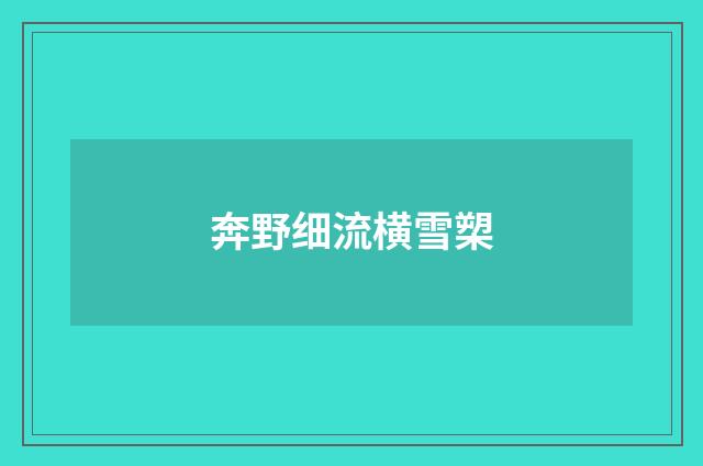 奔野细流横雪槊