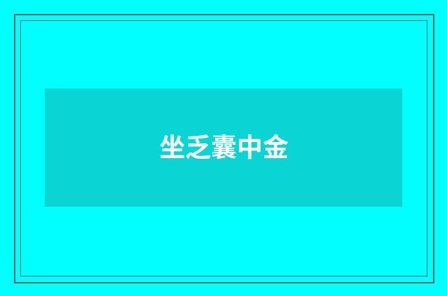 坐乏囊中金