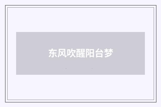 东风吹醒阳台梦