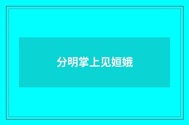 分明掌上见姮娥