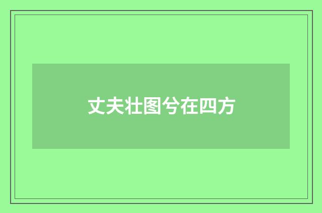 丈夫壮图兮在四方